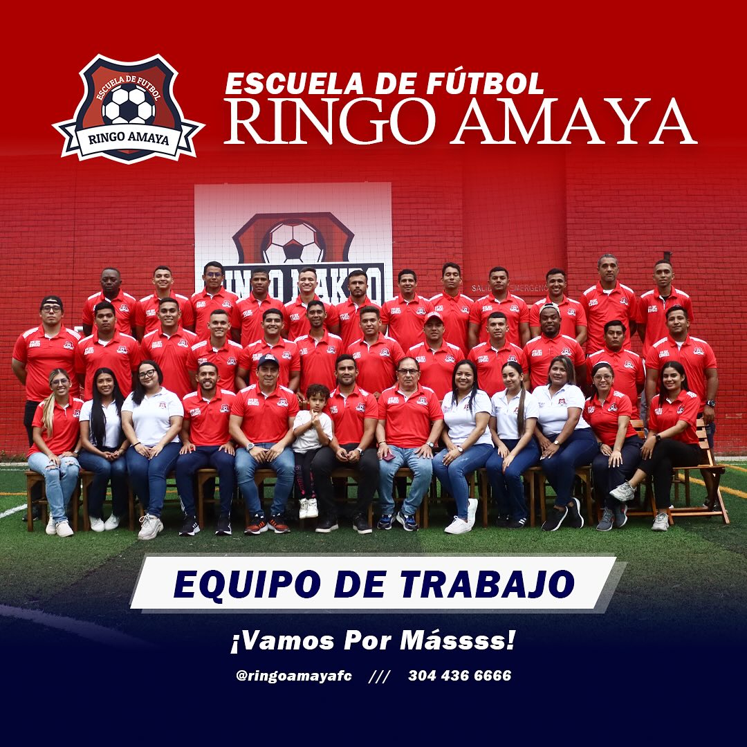 Grupo de trabajo Ringo Amaya